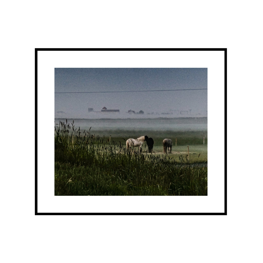 Fog and Horses — framed mockup