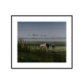 Sleeping Horses, color photograph of horses grazing in a misty green field fine art photography print by Lena Di, shown framed with a white mat