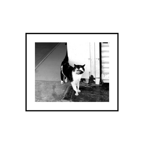 Cat by the Window — framed mockup