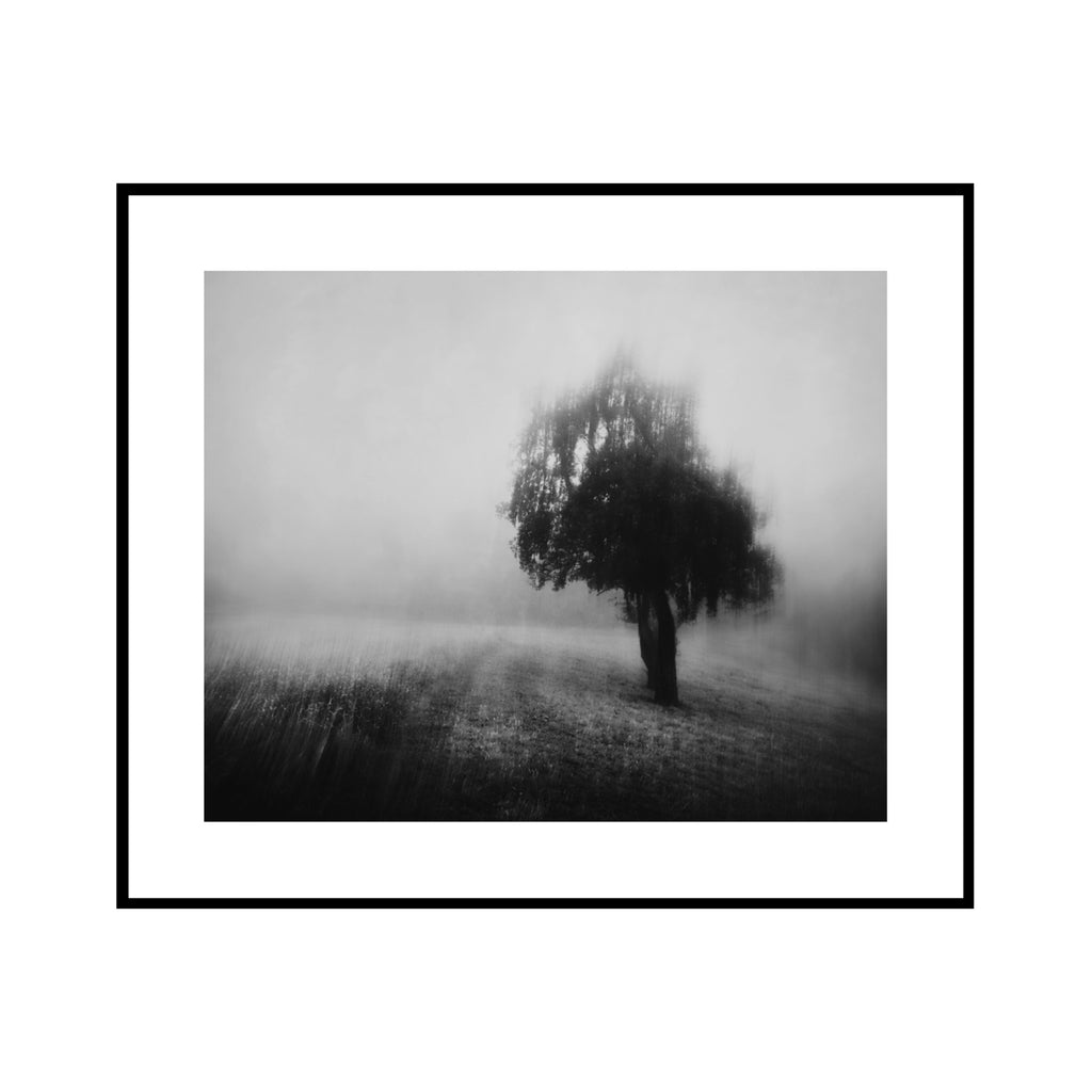 Lone Tree in Fog — framed mockup