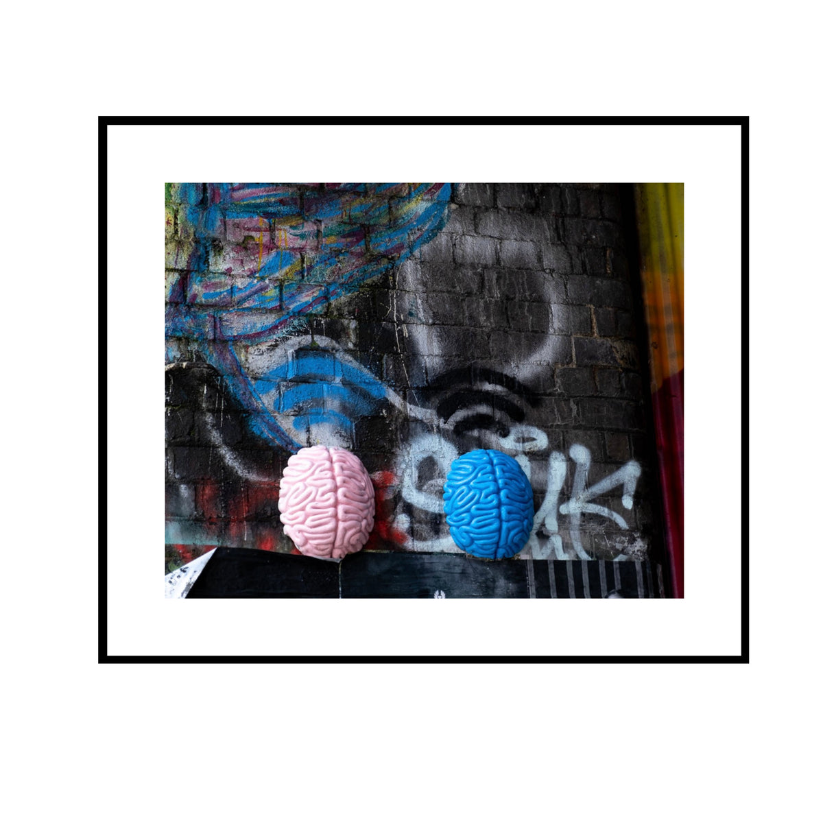 Two Brains