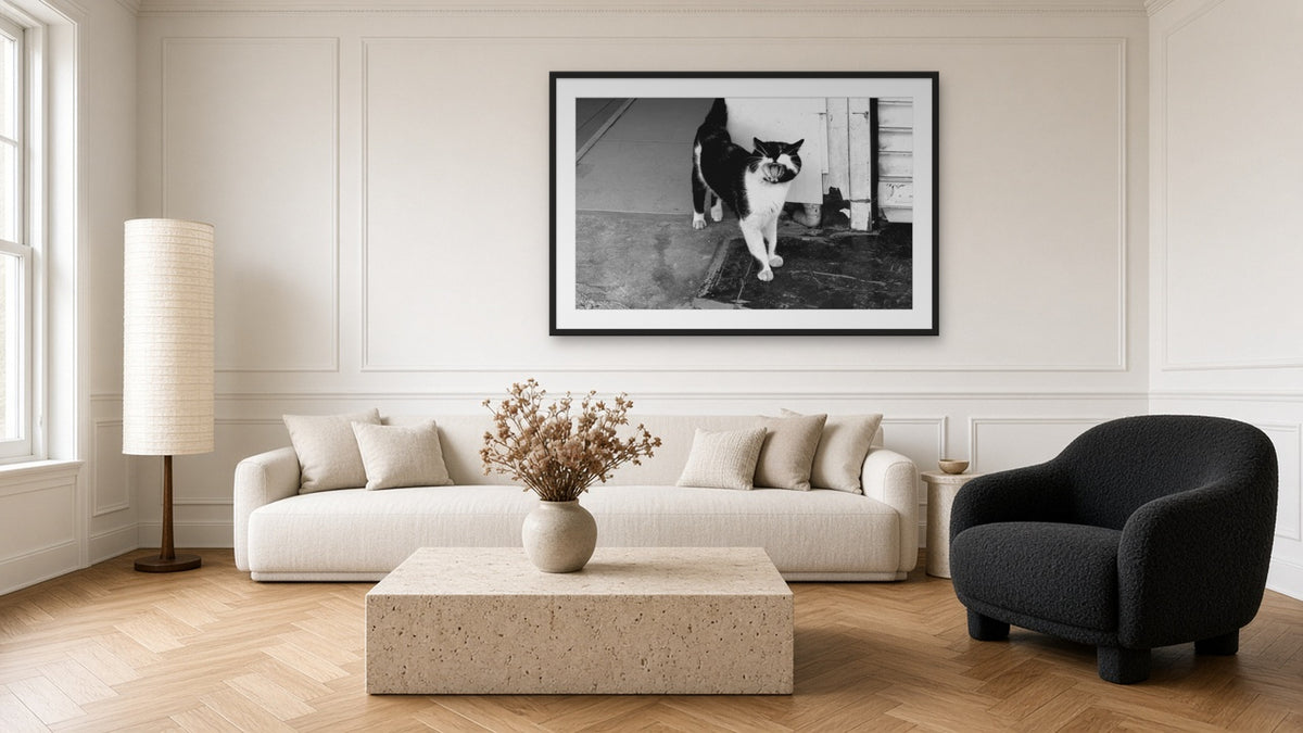 Cat of Ismir by Lena Di, fine art photography print in a black frame