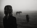 Fog and Horses