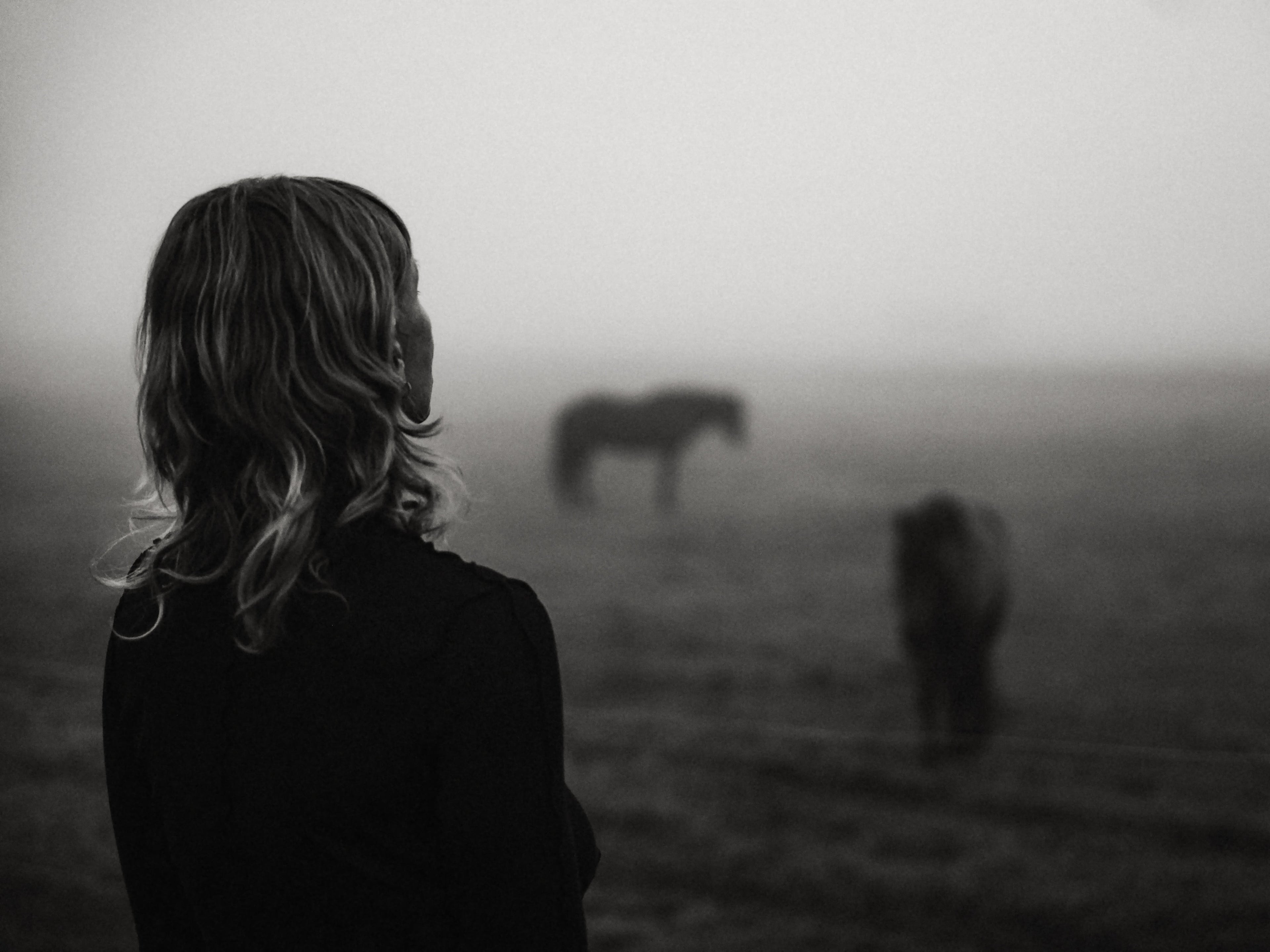 Fog and Horses