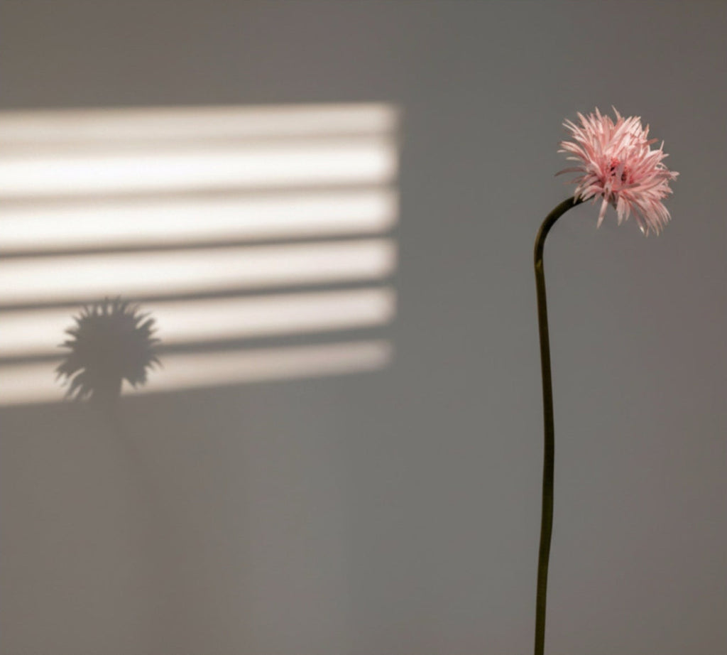 Flower in Morning Light by Lena Di, fine art print
