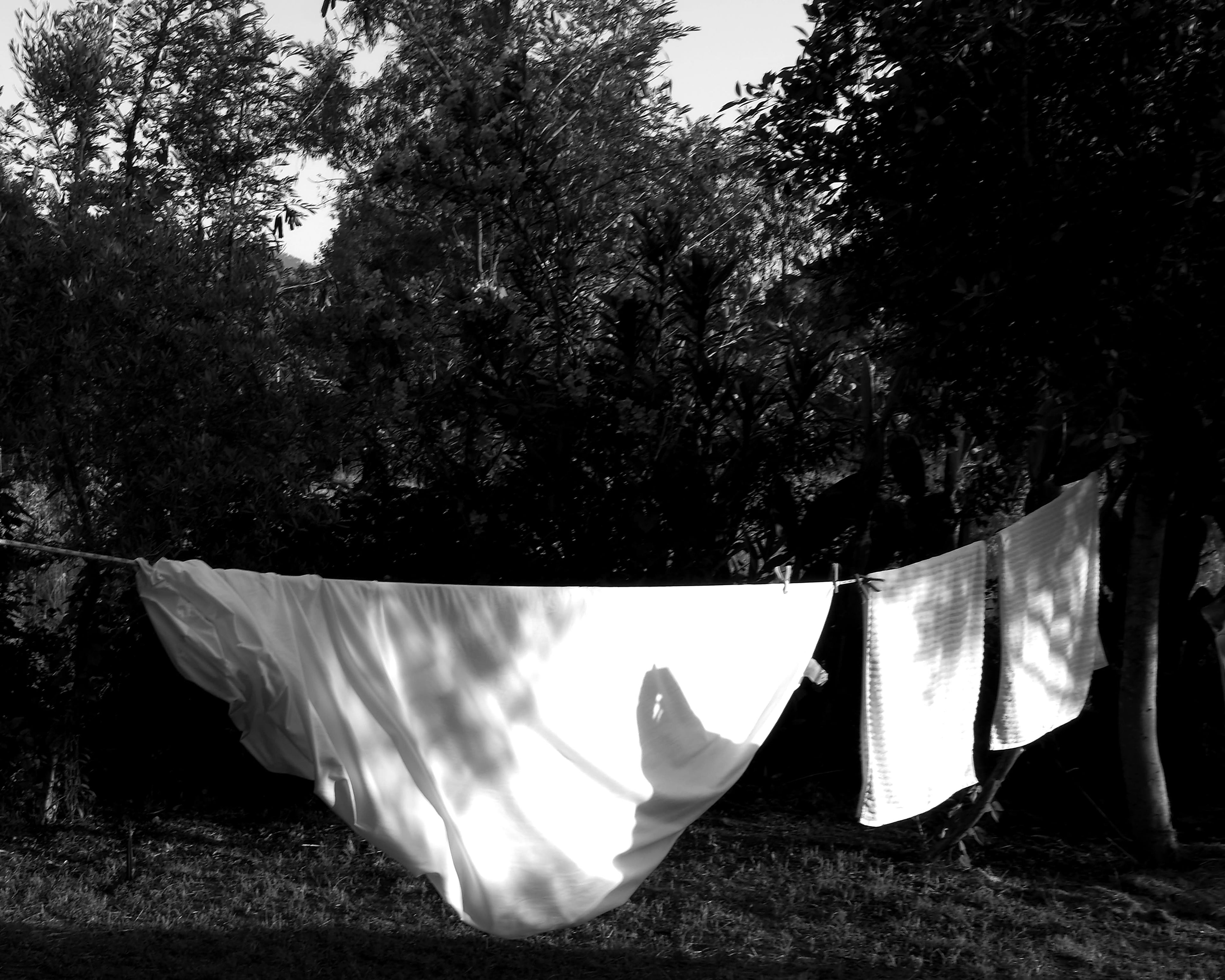 Laundry on the Line