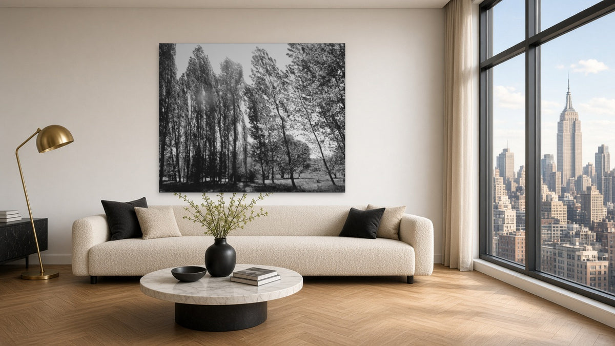 Looking in by Lena Di, fine art photography print shown in a room