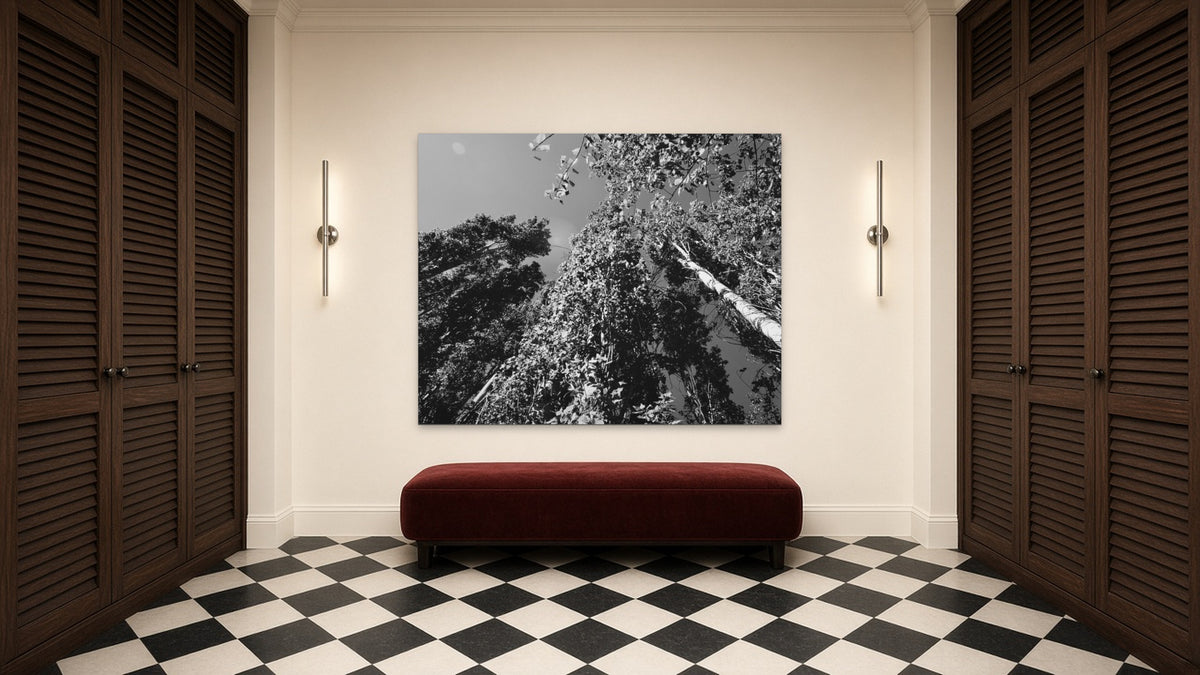 Looking up by Lena Di, fine art photography print shown in a room