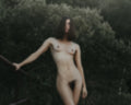 Bush