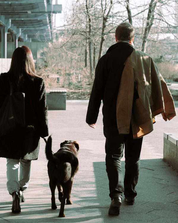 Couple walking their dog along a riverside path in winter, NYC couples photography by Lena Di