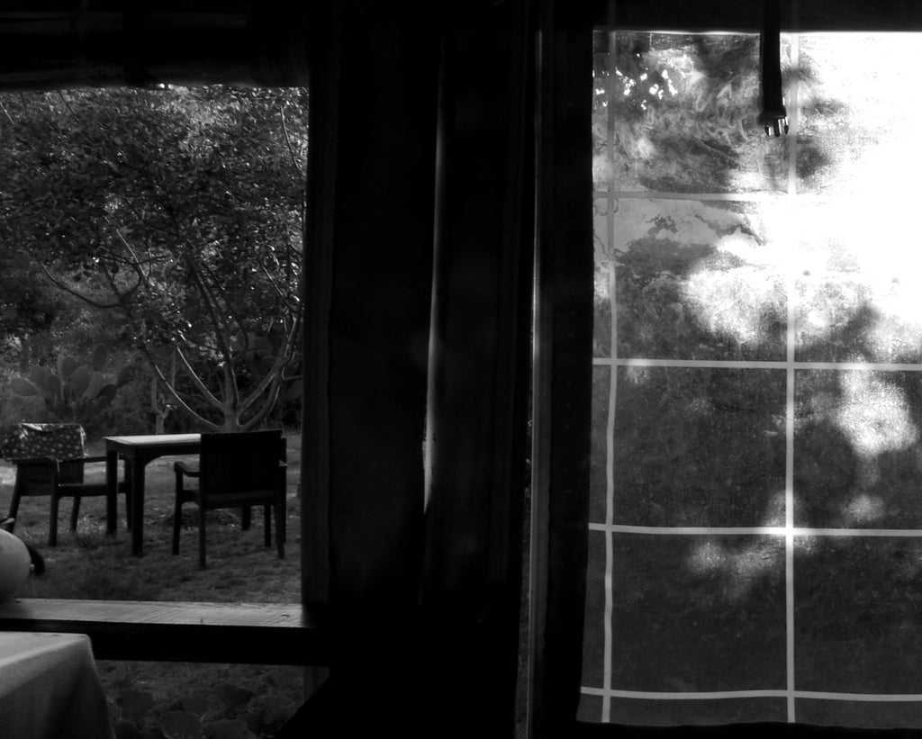 Reflections in the Window by Lena Di, fine art print