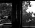 Reflections in the Window by Lena Di, fine art print