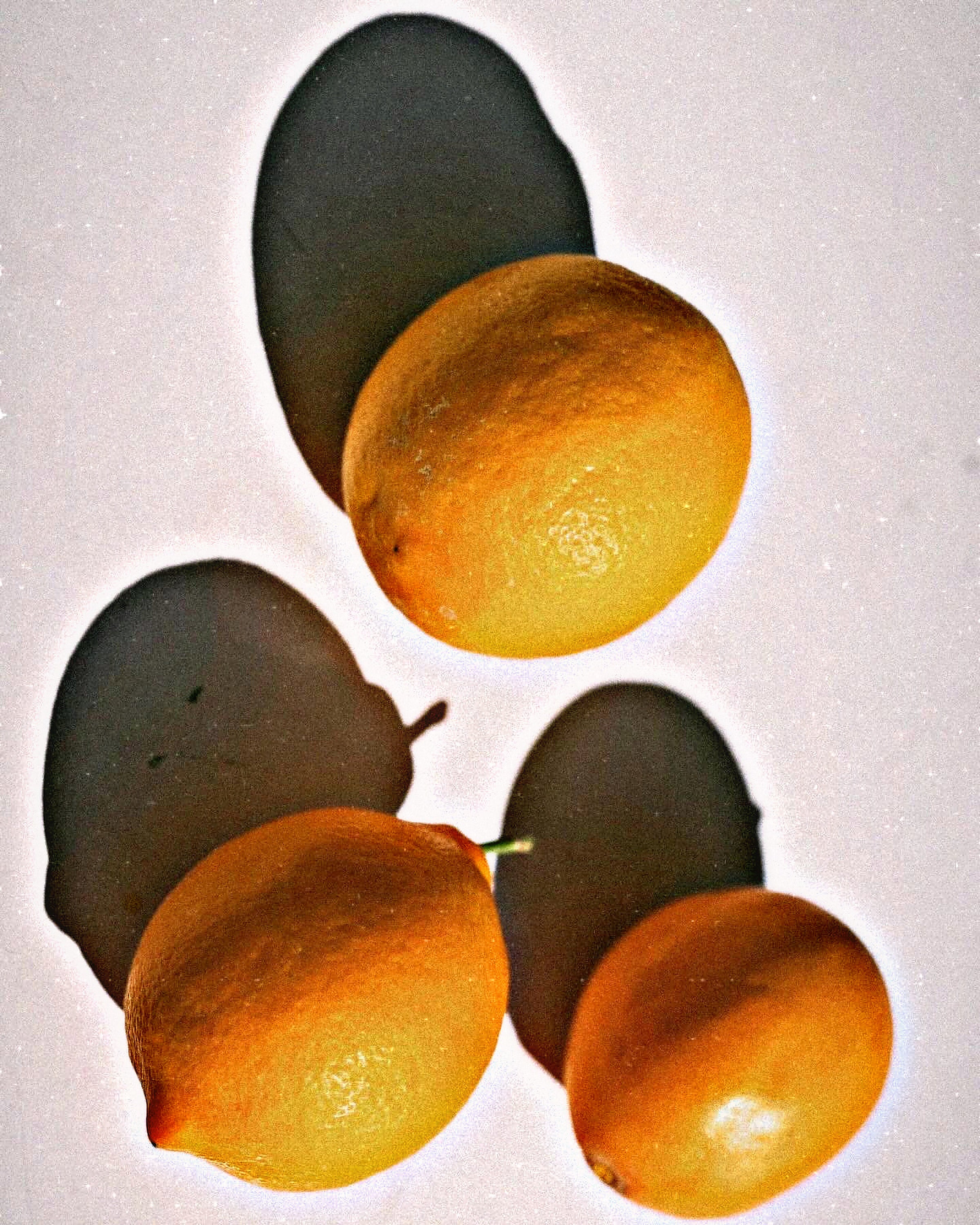 Lemonade