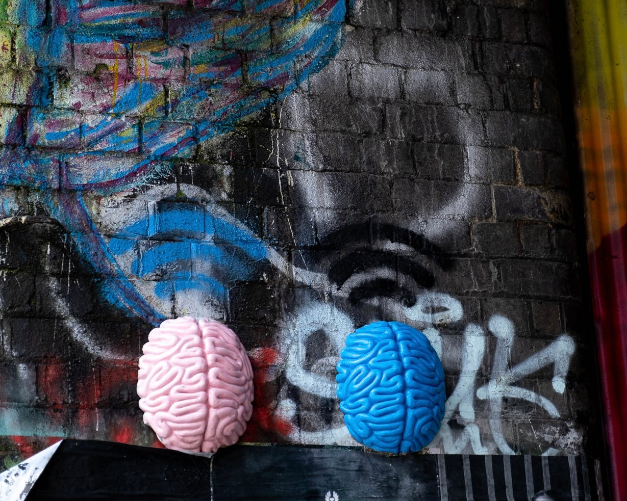 Two Brains