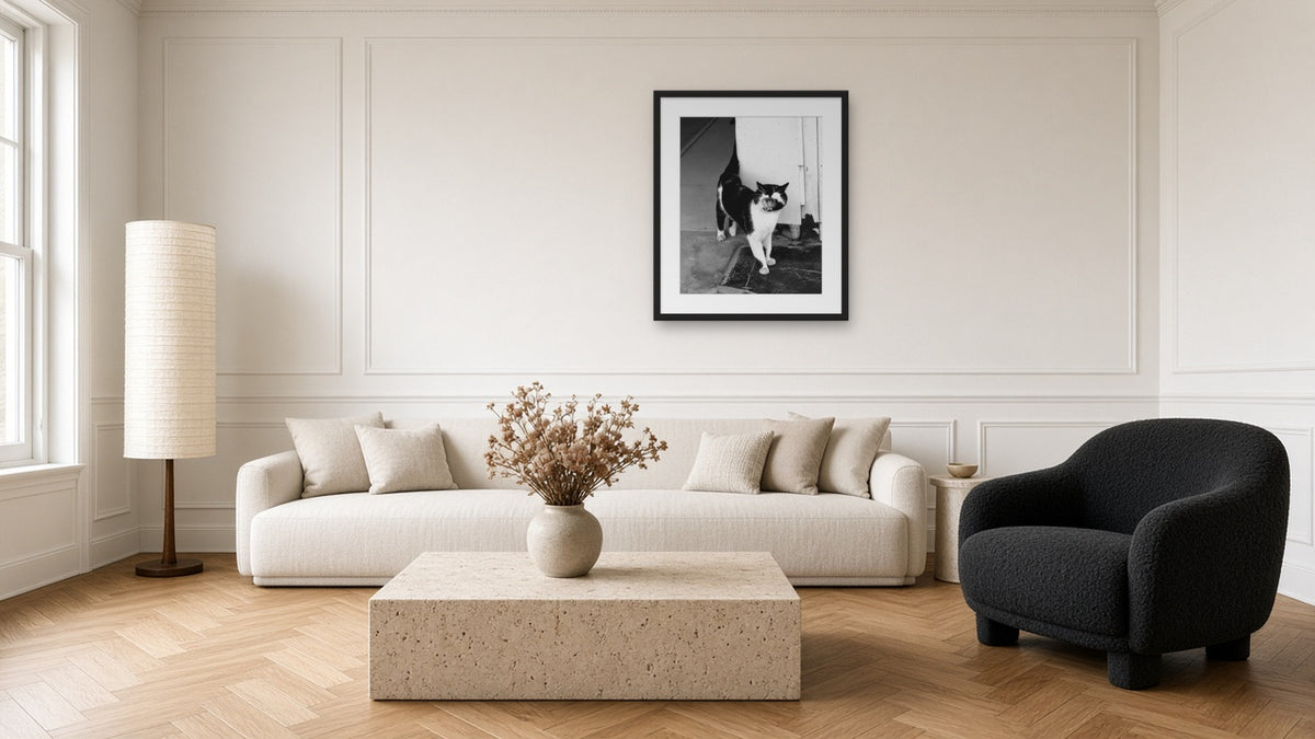 Yawning Tuxedo by Lena Di, fine art photography print in a black frame